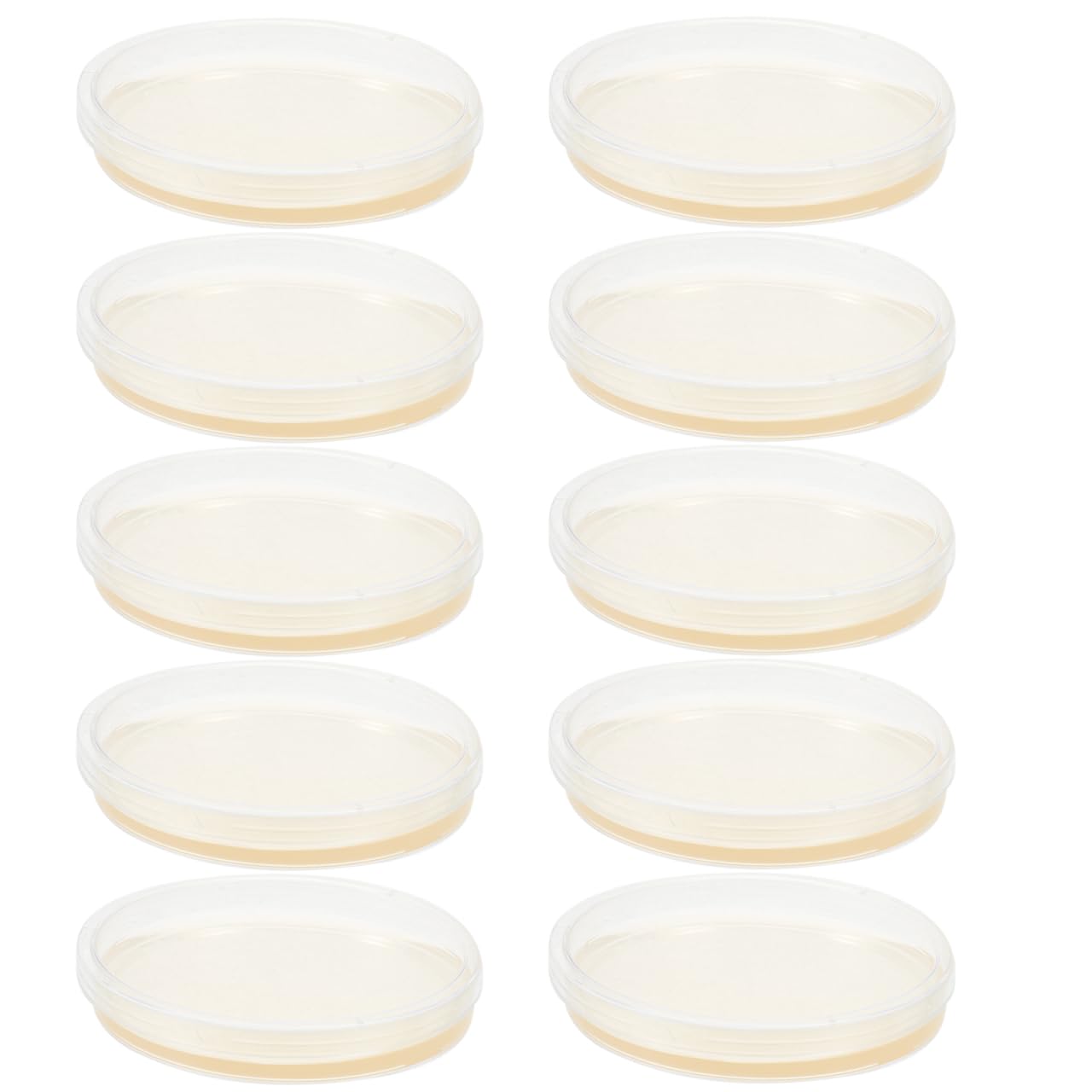 Mipcase Plaques D'agar Lb Prêtes À L'emploi 9cm - 10 Pièces Pour Cultures Microbiennes IdéAles Pour Laboratoires Et Projets Scientifiques