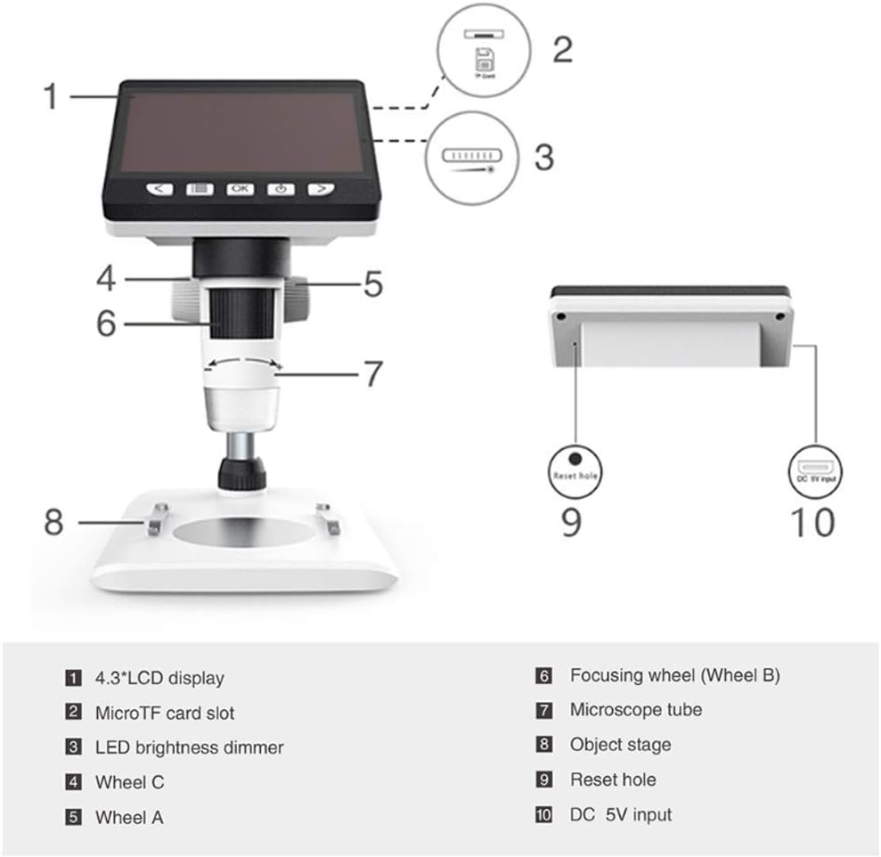 40X-1000X Magnification Binocular Head Research-Grade Compound Lab Microscope with Wide-Field 10X and 25X Eyepieces Mech