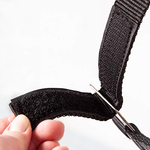 Foto von PFIFF 102921 Sicherheitshalfter Jocose, Weidehalfter Paddockhalfter, Schwarz, MS