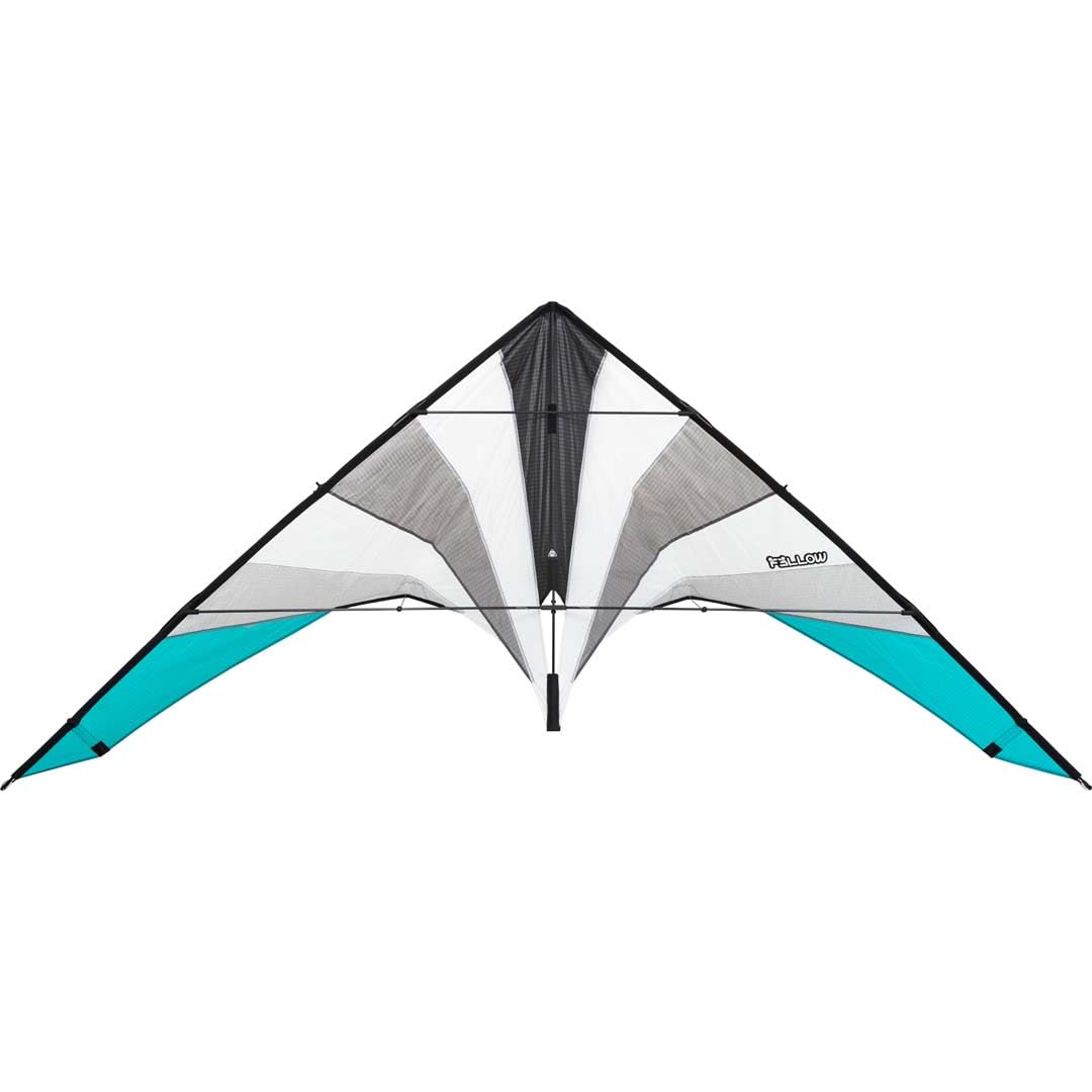 HQ Design - Cometa en Forma de Cometa de Dos líneas - Volar en Equipo Tranquilo y preciso a Partir de 14 años - 112 x 250 cm - Armadura de Fibra de Carbono - Cordones Dyneem 50-100 KP (no incluidos