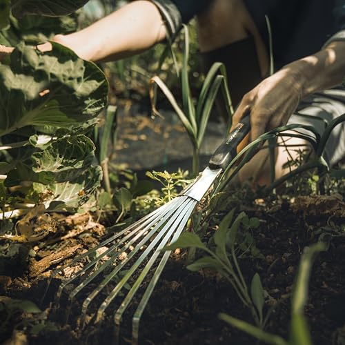 Fiskars Xact Hand Rake, Heavy Duty Gardening Hand Tool with Ergonomic Handle and Hanging Hole for Storage, Stainless Steel Head and Tines, Perfect for Maintaining a Raised Garden Bed