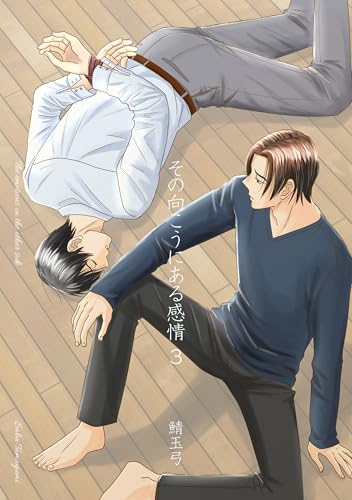 その向こうにある感情 3 (男子上等！)