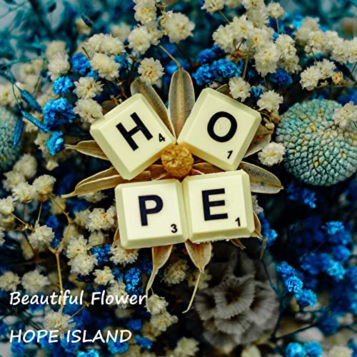 Amazon.co.jp Beautiful Flower HOPE ISLAND デジタルミュージック