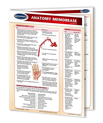 Anatomy MemorEase Guide - Medical Nursing Quick Reference Guide by Permacharts