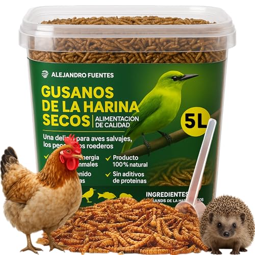 AF® vers de Farine Séchés Premium, 5L Ver de Farine Deshidraté 52% Protéines, Snack Naturel pour Hérisson, Reptiles et Rongeurs, 100% Naturel sans Additifs avec Fermeture Zip