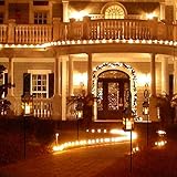 Ulmisfee B086QJJLPC lato 3