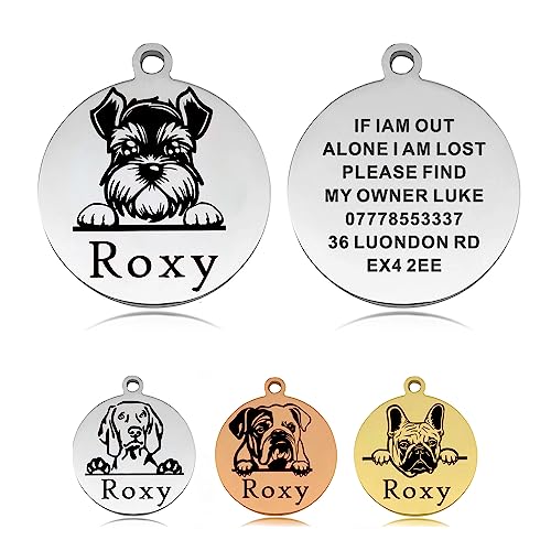Custom Stainless Steel Dog Name Tag