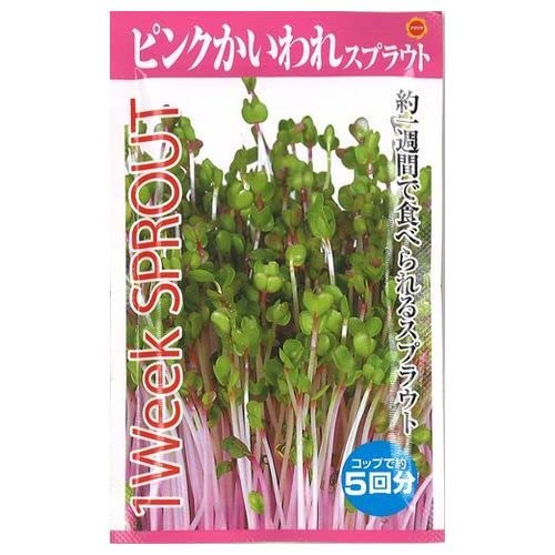 sprout出品 81wDOBe4wwL._UF894,1000_QL80_.jpg