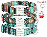Collar para perros con bolsa de metal. Seguro para bloquear y cómodo para poner el collar de identificación del perro y quitarlo en cuestión de segundos, también puede ajustar el tamaño del collar con un uso cómodo.
