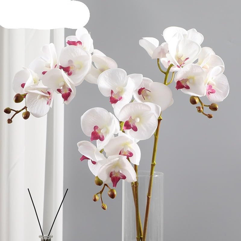 HUFFA Skandinavische künstliche Phalaenopsis-Orchideen – perfekt for Heimdekoration und Hochzeiten(Color3)