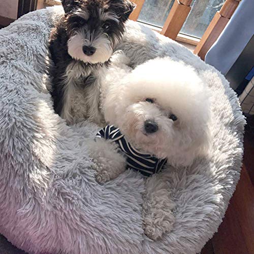 Couchette pour chien lit de chat apaisant lavable et chaud