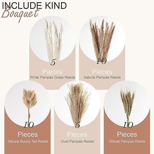 Natural Dried Pampas Grass Plant Bouquet, 40 cm Tall for Autumn Home Boho Table Decor Floral Arrangements - Image 4