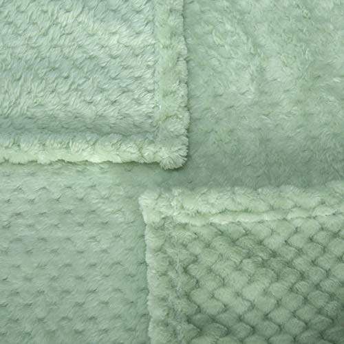 Image of Warm Soft Fuzzy Dog or Cat Blanket, Plush Fleece Throws for Bed, Couch, Sofa, Travel (M /32 inch x 40 inch, Mint)