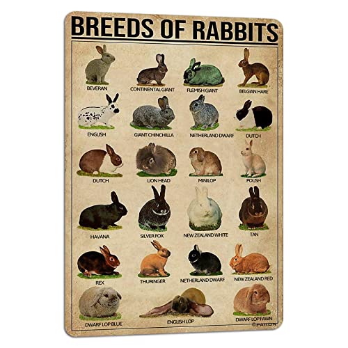 PAIION Breeds of Rabbits Retro Metal Sign Bar Cafe Club Wall Decoration Nostalgic Tin Sign Art Iron...