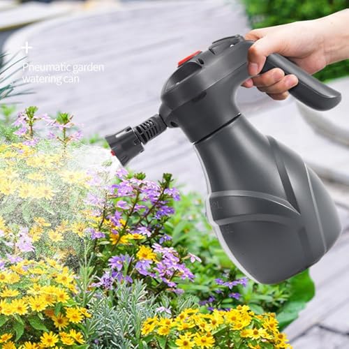 Bouteille de mousse à pompe 2L avec jet ajustable pour auto