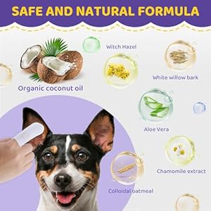 Dog Ear Wipes Finger  Ear Finger Wipes for Dogs  Cats  Pet Ear Cleaning Finger Wipes  Sooths  Deodorizes Prevent Ear Itch  Inflammation  Fresh Coconut Scent All Natural Ingredients  60 Count  Cucciolini Doodles Dog ear wipes finger  ear finger wipes for dogs  cats  pet ear cleaning finger wipes  sooths  deodorizes prevent ear itch  inflammation  fresh coconut scent all natural ingredients  60 count   cucciolini doodles