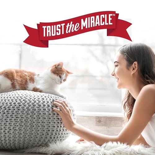Nature's Miracle Espuma eliminadora de manchas e odores Advanced Cat 500 ml, para sujeira severa de