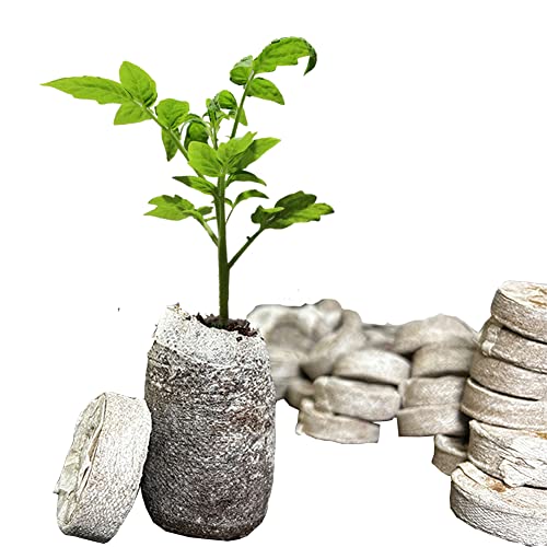 100 Pcs Peat Pellets Seed Starting Plugs Pellets Seedling Soil Block 30Mm Nursery Soil For Indoors Garden Flowers Seedling Planting Seeds Starter Pellet For Transplanting Planting #TOP4