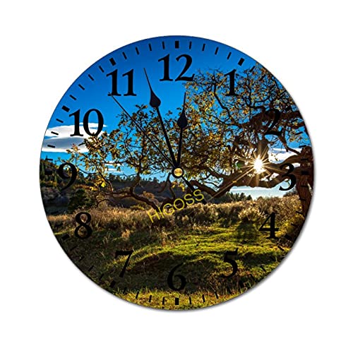 HIGOSS Zion National Park-54 Orologio da parete silenzioso senza ticchettio rotondo decorazione per la casa orologio da parete rotondo facile da leggere per casa, ufficio, scuola, orologio da 25,4 cm
