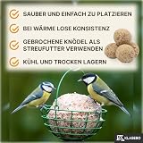 Premium Meisenknödel mit Insekten, 100 Stück (9kg) – Ganzjähriges Wildvogelfutter, Natürliche Zutaten, Ganzjährige Fütterung, Körnerfresser Delikatesse