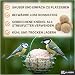 Premium Meisenknödel mit Insekten, 100 Stück (9kg) – Ganzjähriges Wildvogelfutter, Natürliche Zutaten, Ganzjährige Fütterung, Körnerfresser Delikatesse