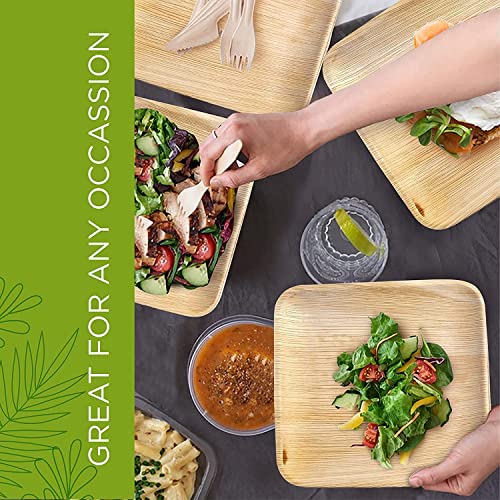 Truly Eco Palm Leaf Plates - Like Bamboo Plates Disposable - Compostable, Biodegradable & Eco Friendly - Appetizer & Dessert Plates For Party - Better Than Paper Plates (20, 6” Square Plates) #TOP6