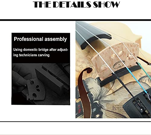 Image of Aliyes Electric /Acoustic Violin Set for Beginners Special Designed Gift for Beginner with Hard Case,Bow,Extra Strings (4 /4 /Full-size)