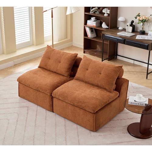 2 Seats Modular Loveseat Couches with Pillows & Backrest, Cloud