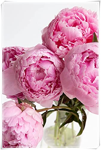 Pfingstrosen Schnittblumen Kaufen Die 15 besten Produkte im Vergleich