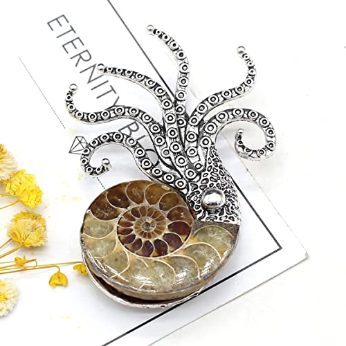 Image of Natural Fossil Brooches Ammonite Shape Conch Shell Apparel Pin for Coat Dress Clothes Decoration