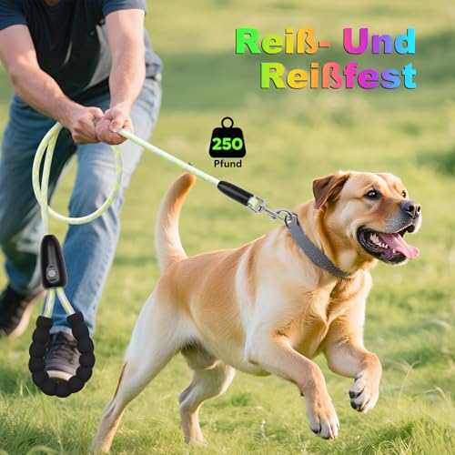 YFbrite wasserdichte Hundeleine mit Beleuchtung und 15 Blinkmodi – Superhelle LED-Hundeleine für kleine, mittelgroße und große Hunde – Wiederaufladbare Hundeleinen Typ C mit Licht (6ft(180cm))