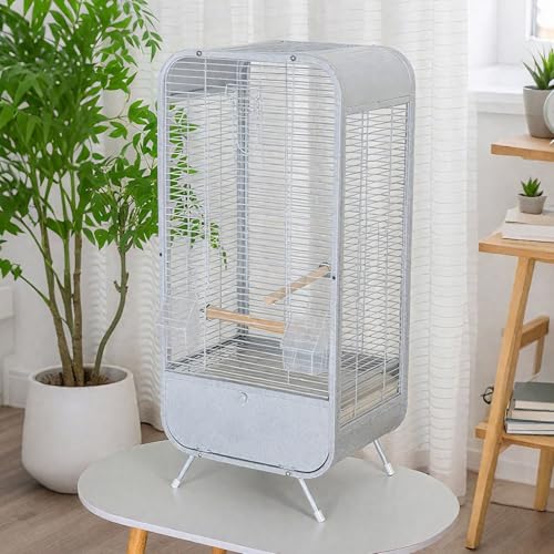 MLVFHN   LXƂ[Xy[X P[W  ɊJ Ƃ肩  IJCR oV[V CR  Oʔ ANP[W ^ ʔ(CO[)