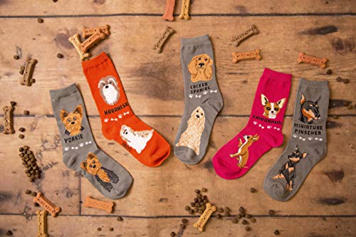 Foozys Unisex Crew Socks | Canine/Dog Collection | Yorkie #TOP2