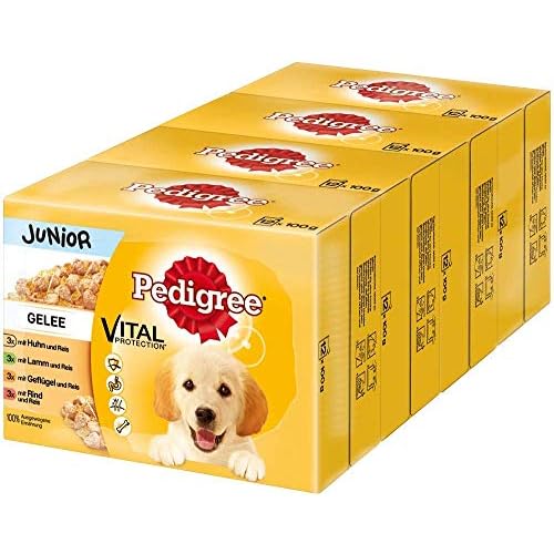 Pedigree Vital Protection Hundenassfutter für Welpen im Beutel – Hundefutter in Gelee mit Huhn, Lamm, Geflügel, Rind & Reis – 48 x 100g Großpackung
