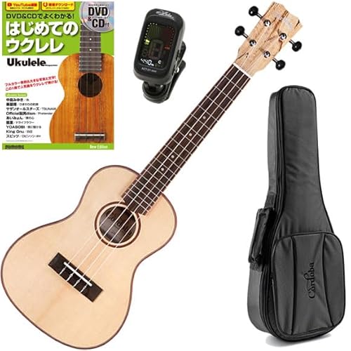 Rho EN Sғ RT[gTCY Ɏn߂4_Zbg 24C Spruce