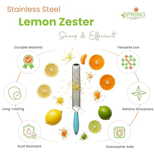 Image of Spring Chef Stainless Steel Lemon Zester, Garlic & Ginger Grater - Aqua Sky