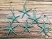 Starfish Christmas Tree Ornaments (Metallic Turquoise)