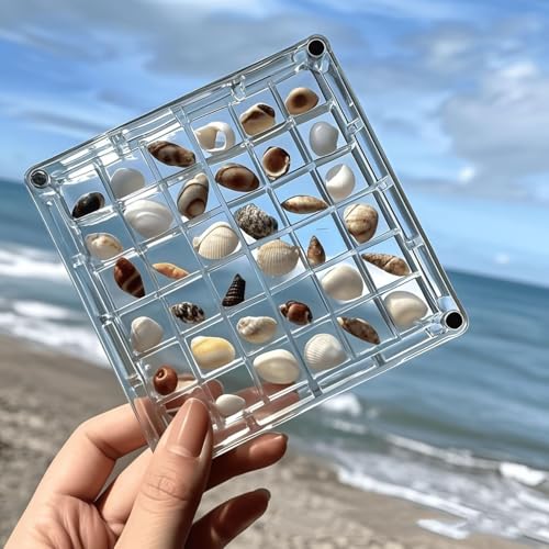 Acrylic Shell Storage Box with 36 Compartments