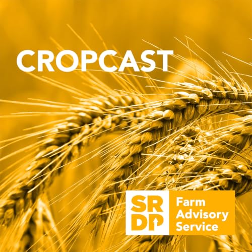 CropCast - Using Insects to make Fertiliser
