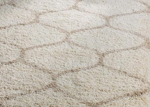 Image of Shaggy Rugs 12 x 18 Feet Soft and Cozy Carpet for Living Room & Hall, Bedroom, and Kids Room Non-Slip, High Pile, Machine Washable, Perfect for Any Room (IvoryBeige)