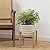 LA JOLIE MUSE Ceramic Plant Pot with Wood Stand - 7.3 Inch Modern Round Decorative Flower Pot Indoor with Wood Planter Holder