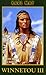 Produktbild Winnetou 3 [VHS]
