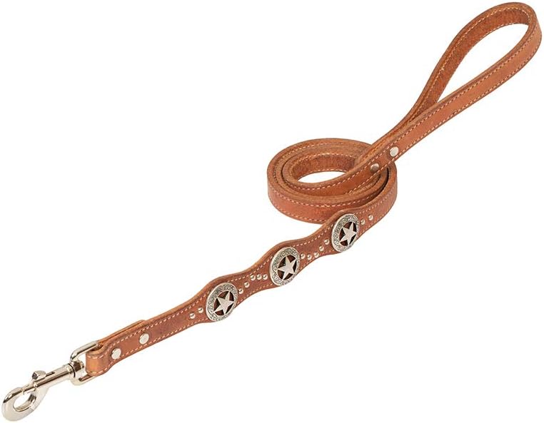 Texas Star Leash, 3/4" x 4'