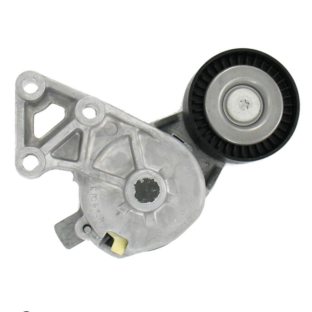 SKF VKM 31019 Kit Tensor Multi-V