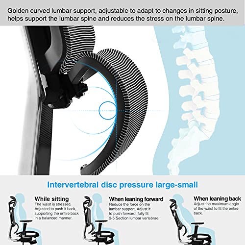 Samofu Ergonomic Office Chair With Foot Rest, High Back Desk Chair With 3D Adjustable Backrest, Mesh Computer Chair With 5D Armrest And Breathable Mesh Seat For Relaxation, 5 Years Warranty #TOP4