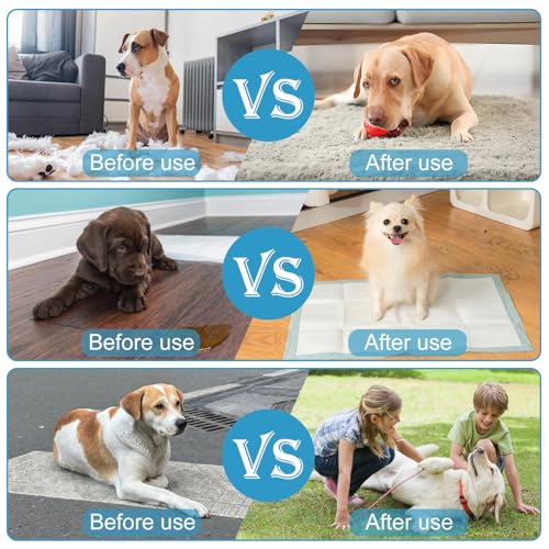 4 Stück Hunde Clicker, Clicker Katze, Clickertraining Hund, Klicker mit Großem Knopf, Klicker Hundeerziehung mit Handschlaufe, für Hundetraining Hundeerziehung Auch für Katzen Pferde