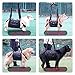 Dog Carry Sling, Emergency Backpack Pet Legs Support & Rehabilitation Dog Lift Harness for Large Dogs, Dog Carrier for Senior Dogs Joint Injuries, Arthritis, Up and Down Stairs (Black, XXL)