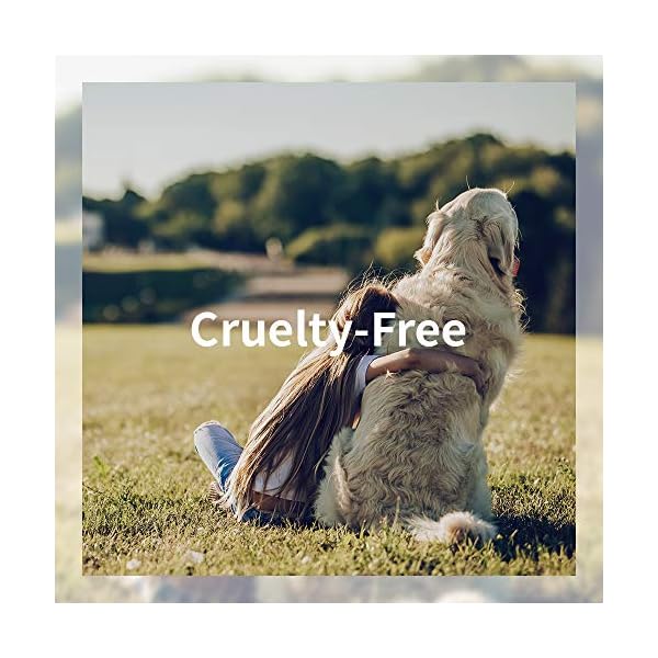 FARMSKIN-Superfood-Beauty-Facial-Sheet-Mask-Coconut-Salad-Set-Pack-of-7-1-Week-Plan FARMSKIN Superfood Facial Skincare Sheet Mask Coconut Salad Set - Facial Mask for Daily Skincare/Korean Facial Mask/Cream & Essence Mask Sheet for Hydrating/For All Skin Type (Pack of 7)