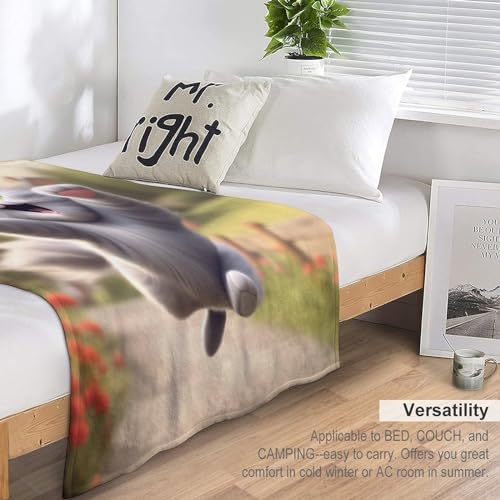 Couverture polaire douce chat mignon idée cadeau chaleureuse pour lit et sofa