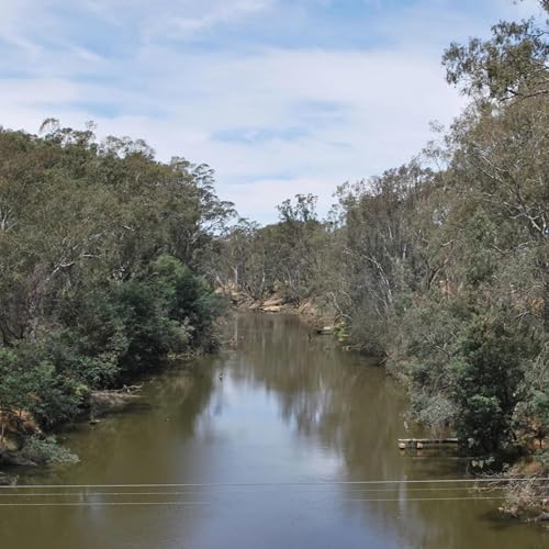 Climate News: Different views about what's best for northern Victoria's Goulburn River; Indoor plants the secret to a cooler home; Australia's car 'mobesity'Car